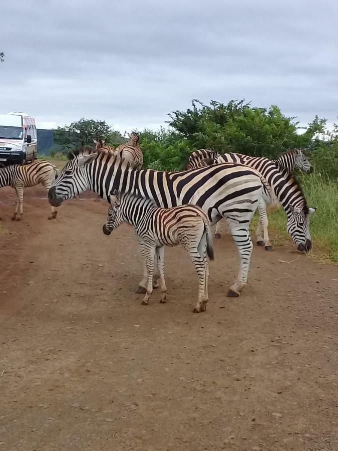 Hluhluwe Gate Safari Camp Hotel Buitenkant foto